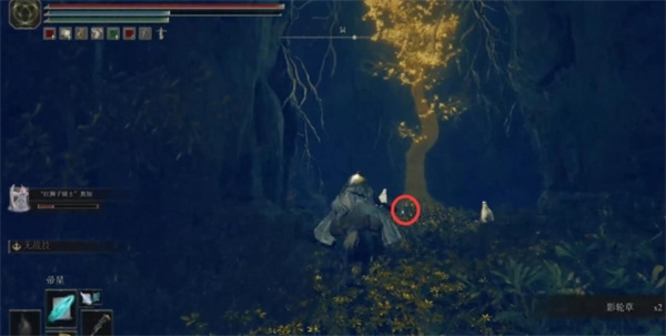 艾尔登法环幽影树碎片收集攻略(图6) 艾尔登法环幽影树碎片收集攻略(图6)