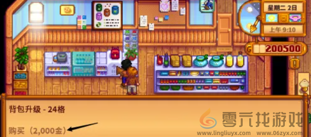 星露谷物语物品栏怎么增加(图4) 星露谷物语物品栏怎么增加(图4)