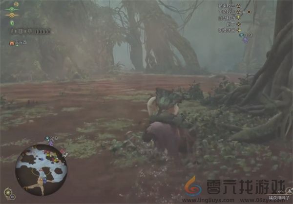 怪物猎人荒野端丽翼鸟具体位置分享(图6) 怪物猎人荒野端丽翼鸟具体位置分享(图6)