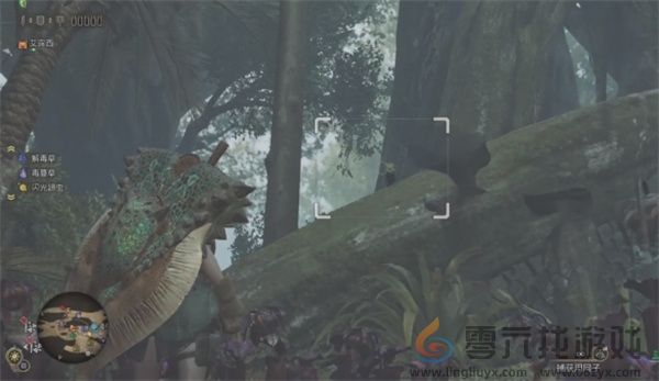 怪物猎人荒野端丽翼鸟具体位置分享(图9) 怪物猎人荒野端丽翼鸟具体位置分享(图9)